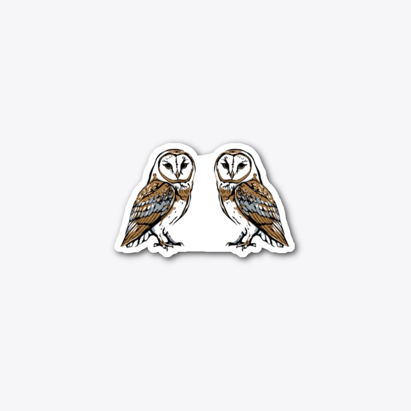 Two Barn Owls