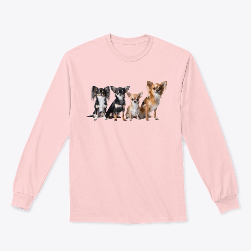 Chihuahua
