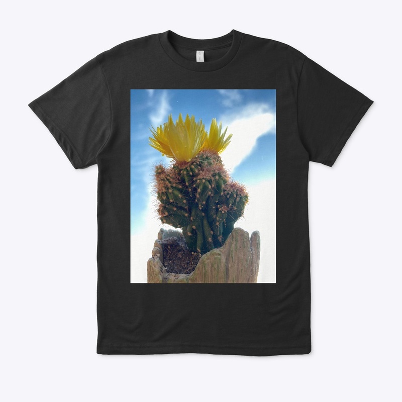 Cactus Haze Series 6: Graphic Tee