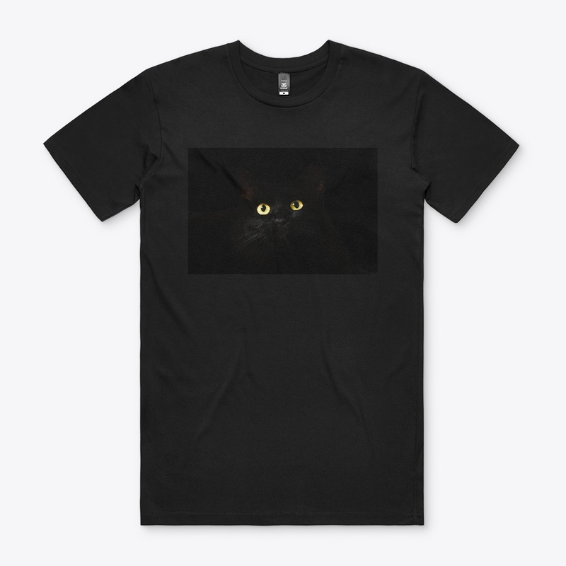 Lucky Black Cat