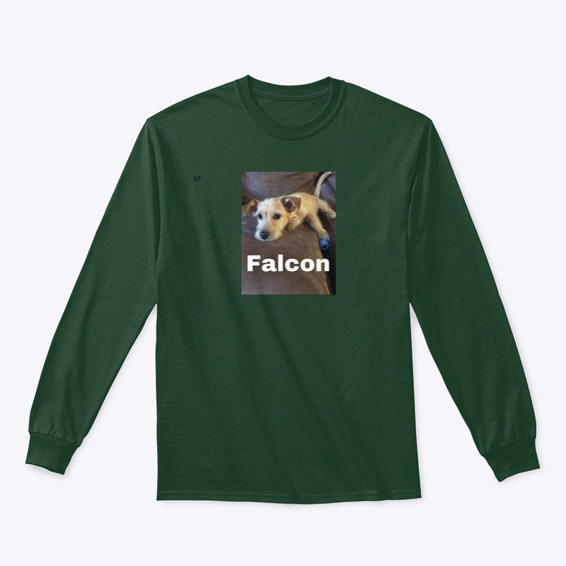 Falcon hoodie 