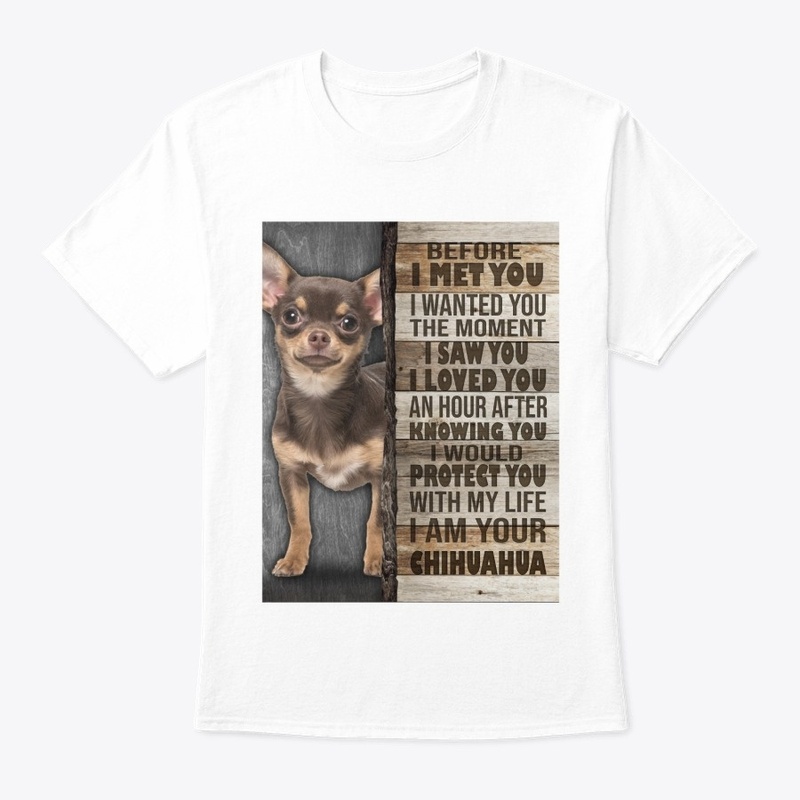 CHIHUAHUA 3 - BEFORE I MET YOU