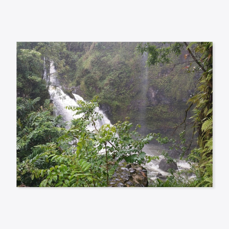 Waterfall in Maui