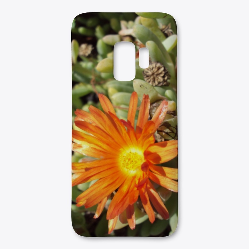 Flowers Three