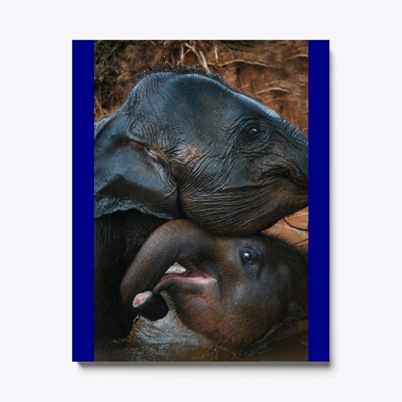 mom's love