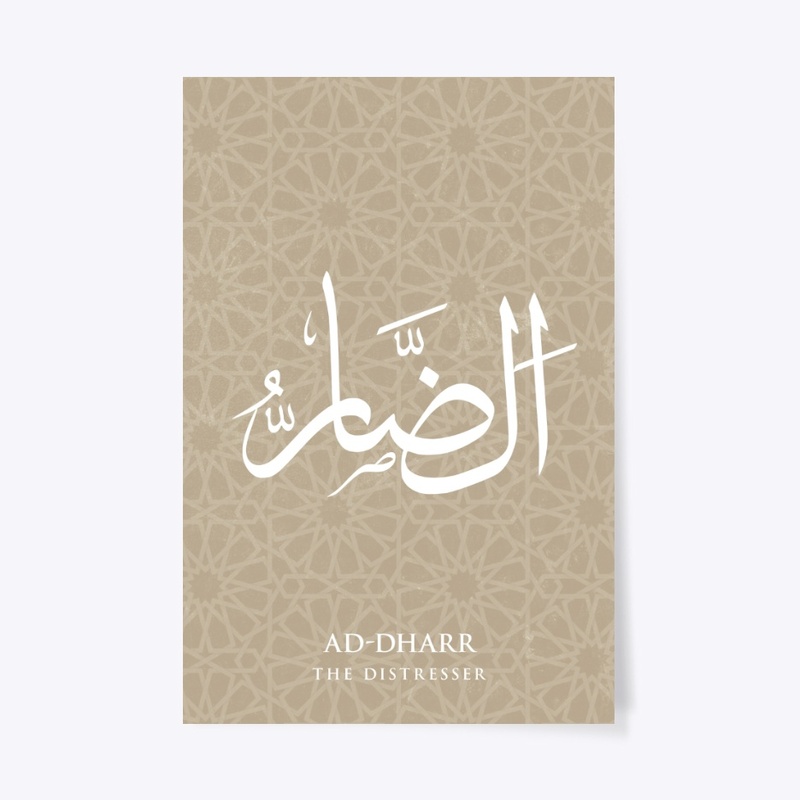 AD-DHAAR : THE DISTRESSER 