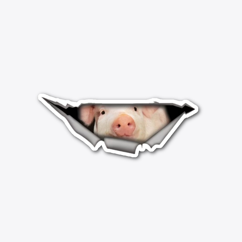 Pig sticker, car decal, Vinyl decal 