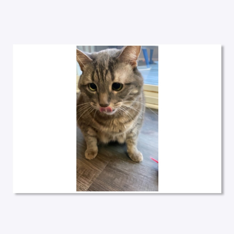 Diz Sticker