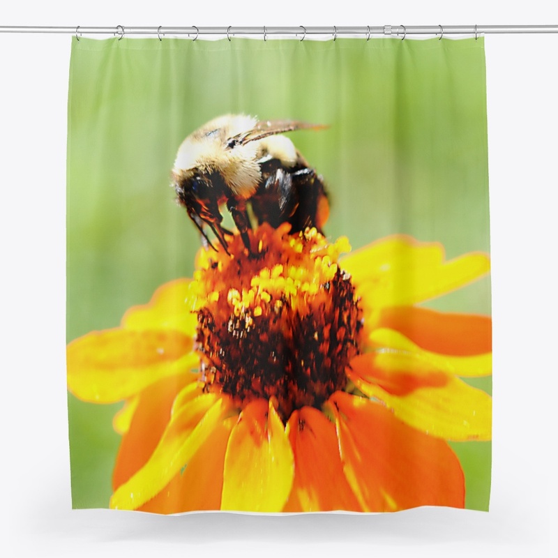 Bee On a Flower