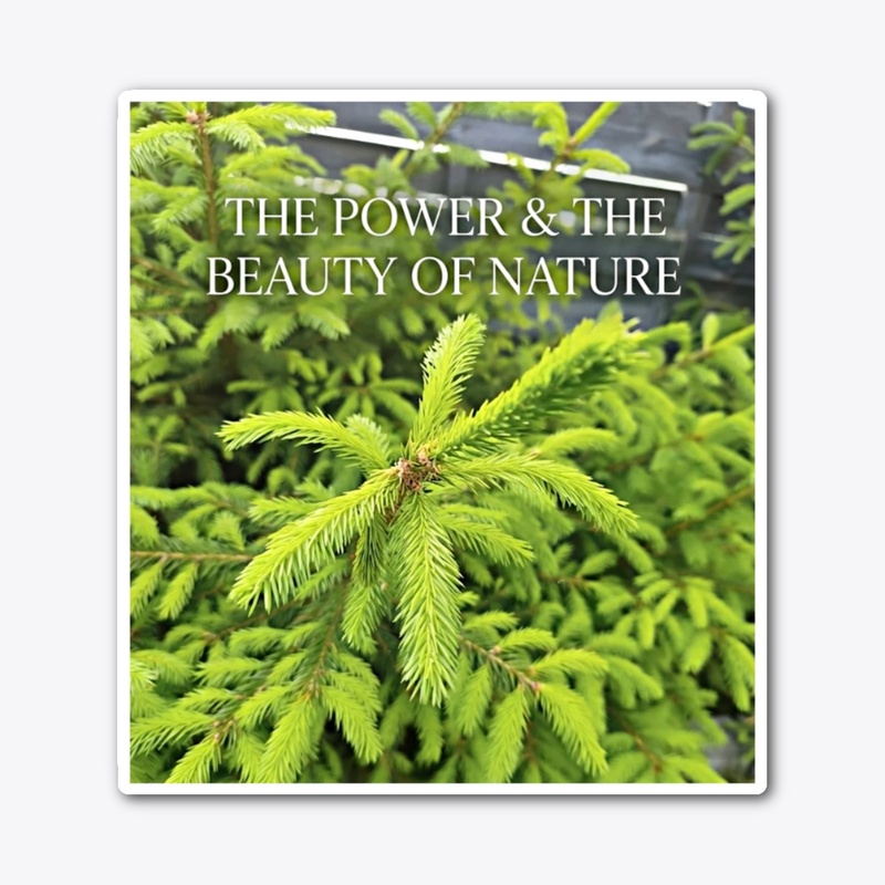  "THE POWER & THE BEAUTY OF NATURE".