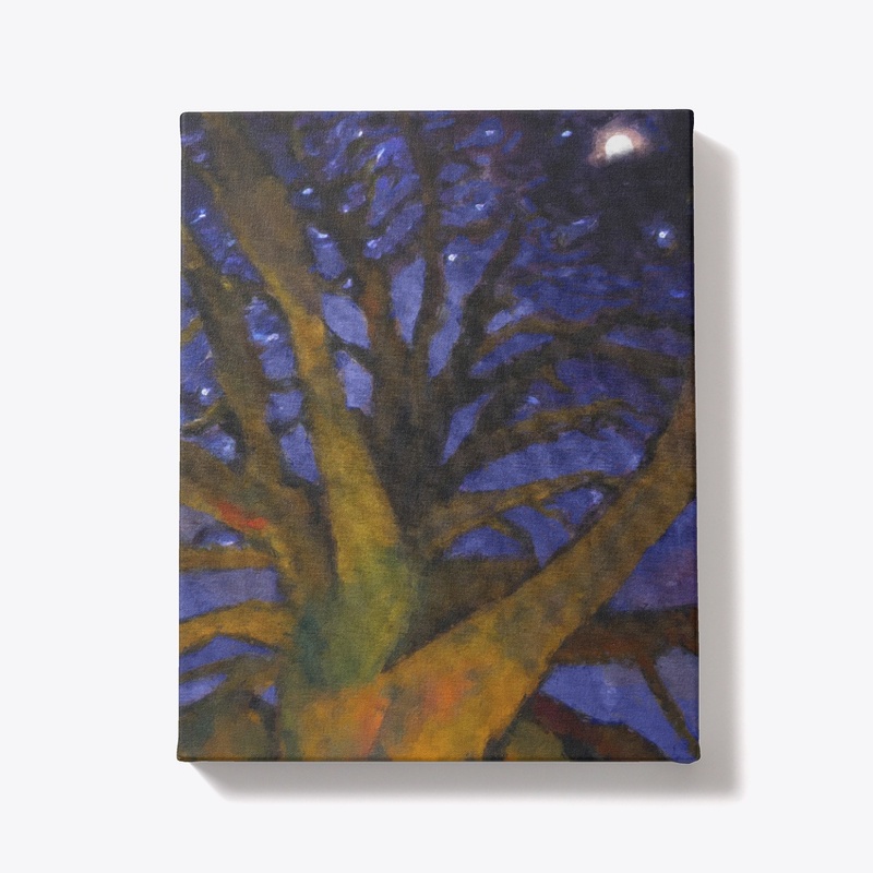Winter Night