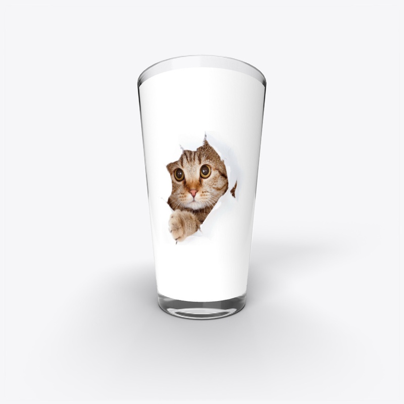 Cat Lover