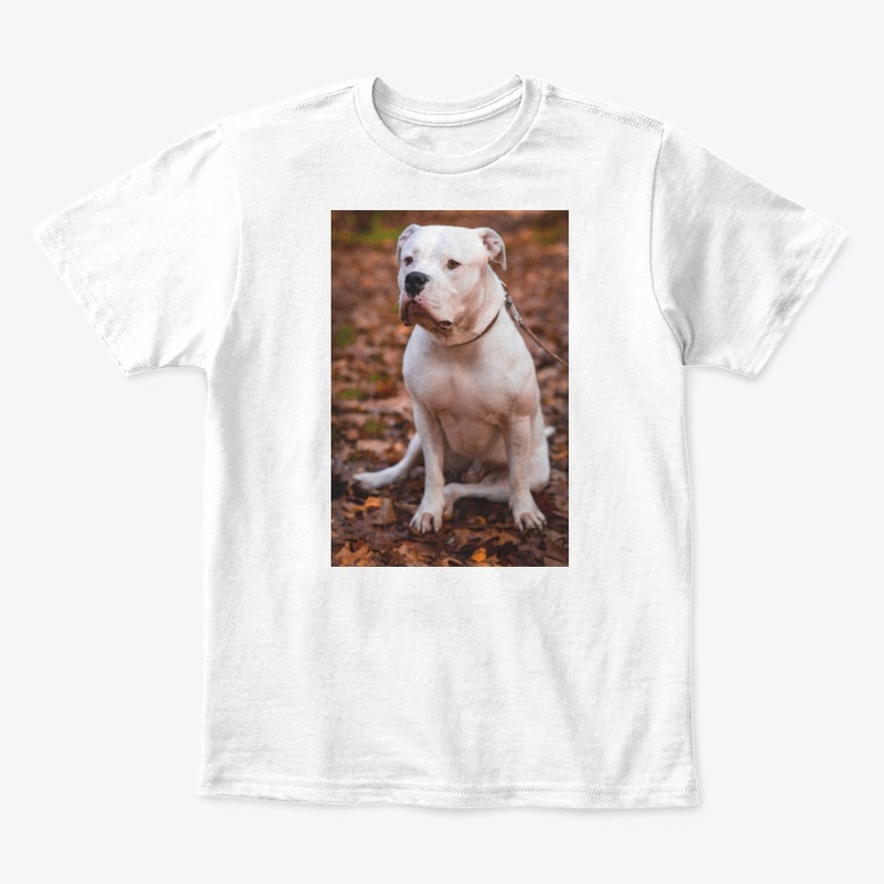 Dog 🐕