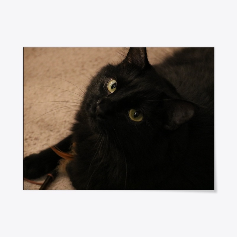 Mocha 1