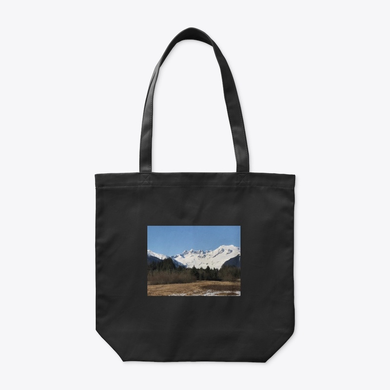 Alaskan Mountains and Mendenhall Glacier