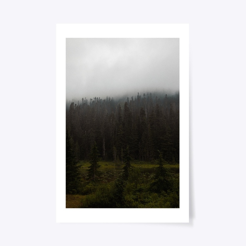 Fog