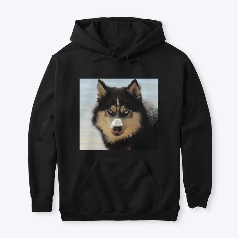 Husky Potter