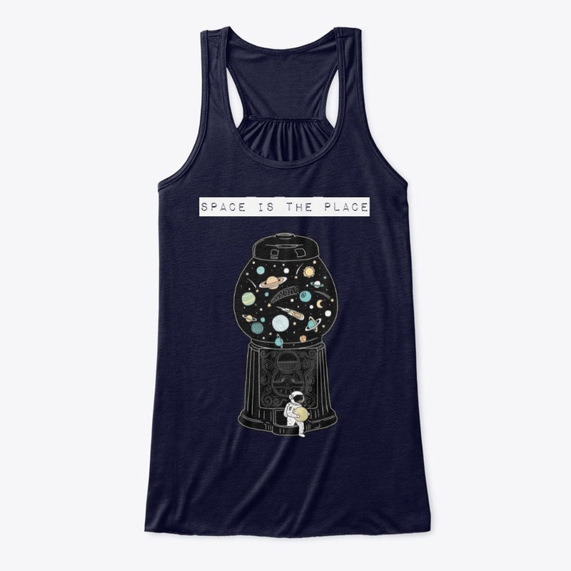 space is the place craft astronaut
