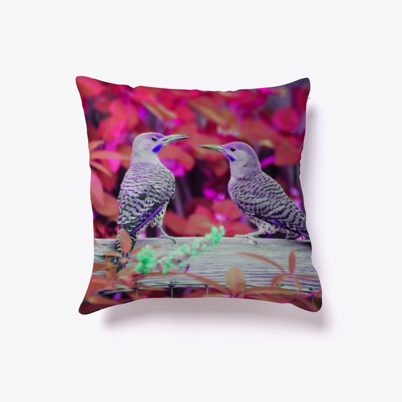 Indoor pillow