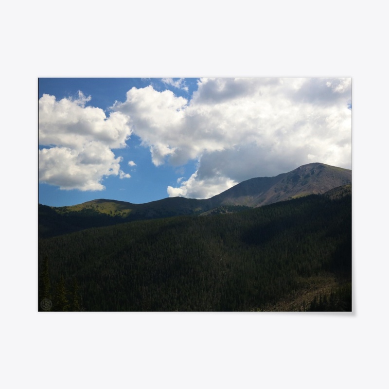 Colorado 11