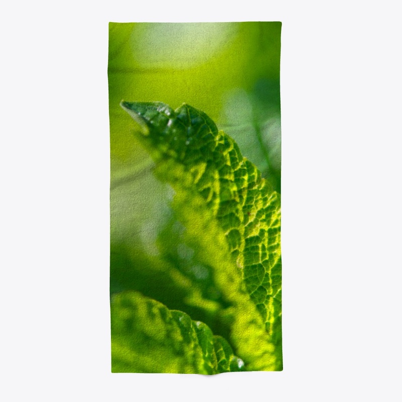 Green leaves in nature