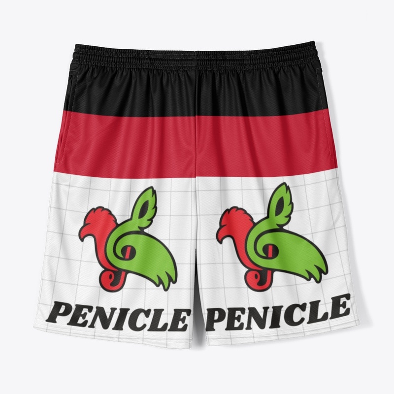 PENICLE 