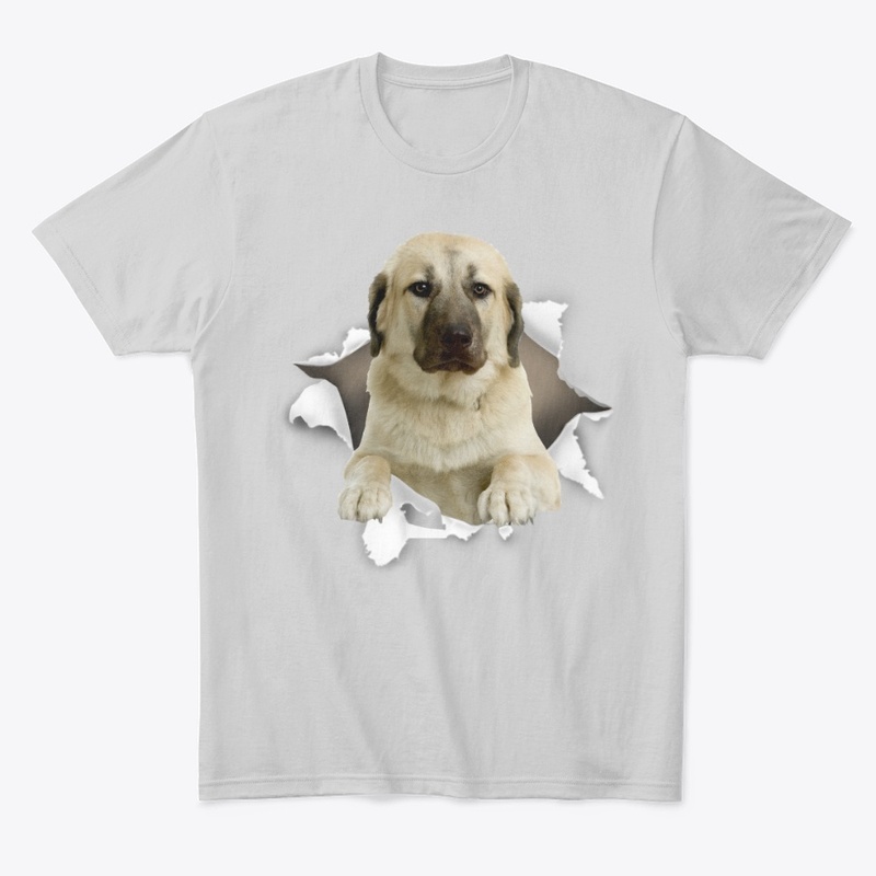 Kangal Dog Torn Paper
