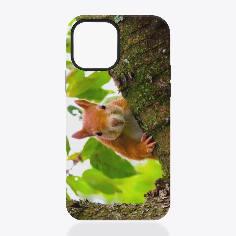 Squirrel