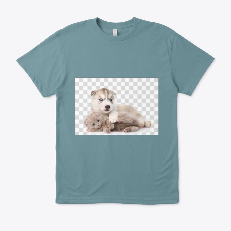 Cute dogs and cats