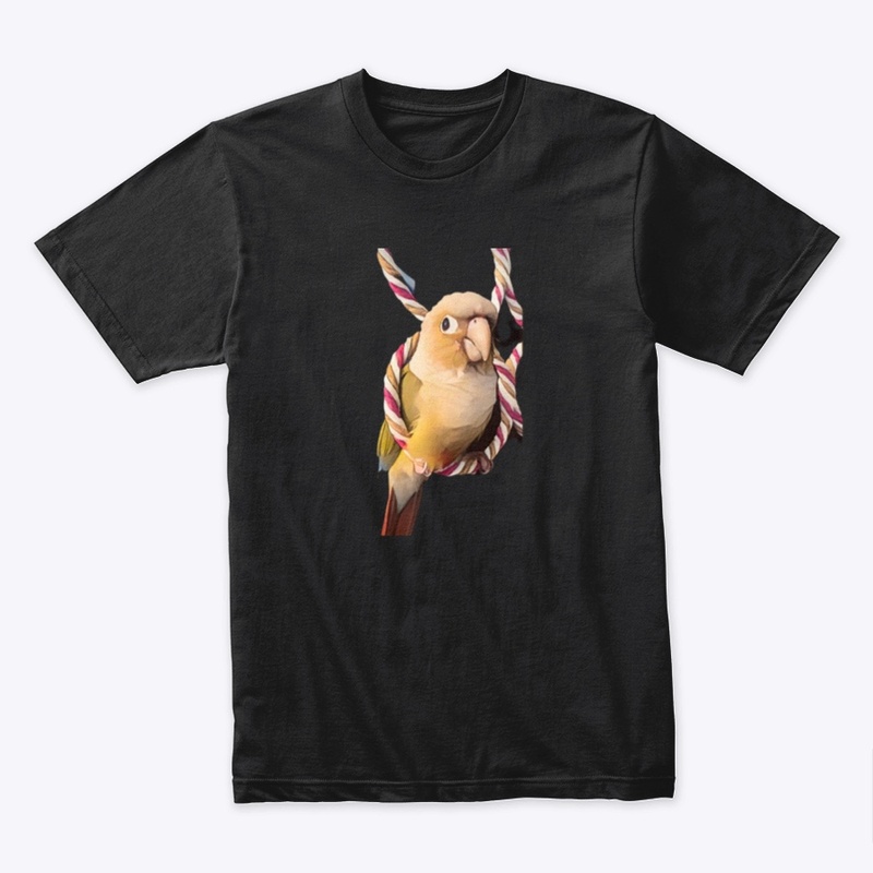 Kiwi AI 