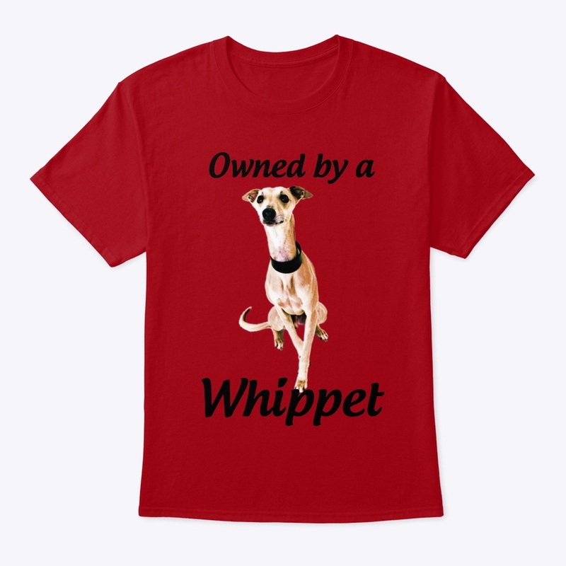 owned by a whippet dog