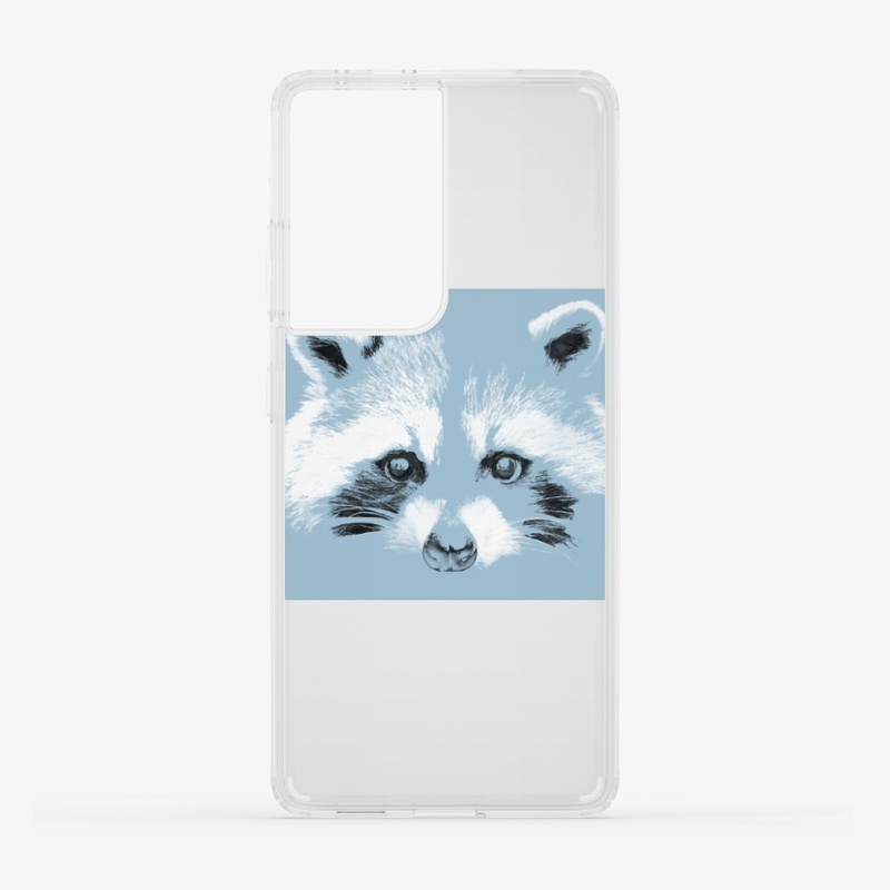 Raccoon Baby