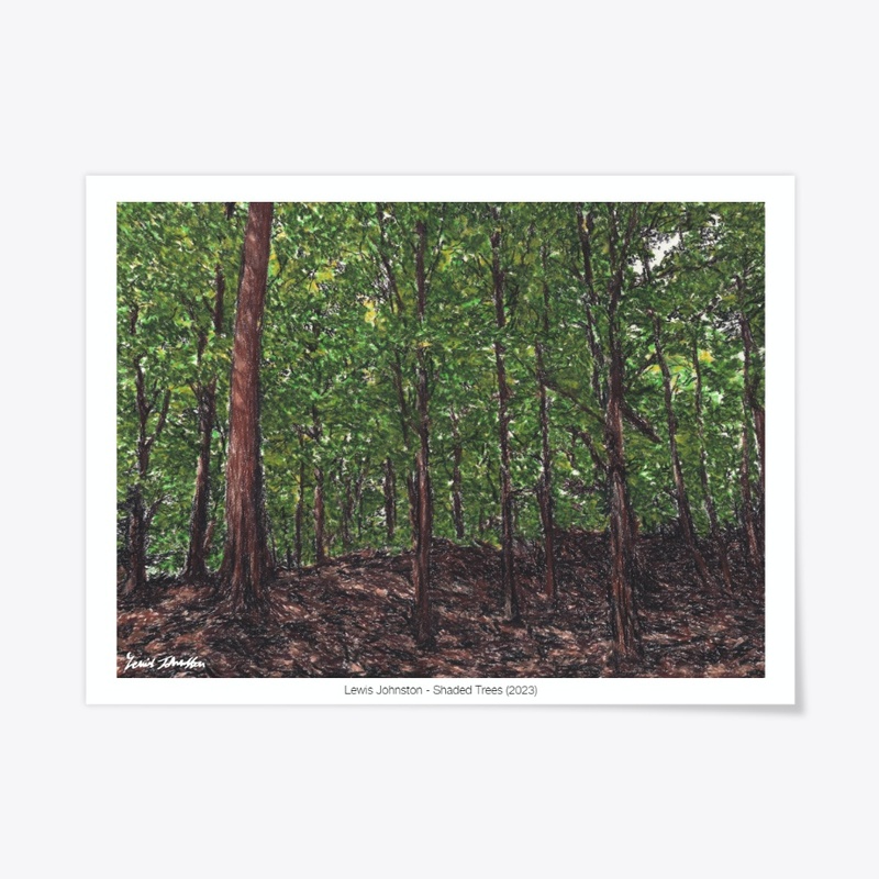 Shaded Trees (2023)