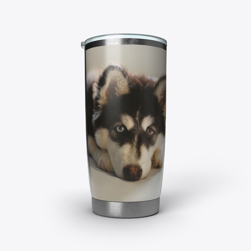 Adorable Husky Drinkware
