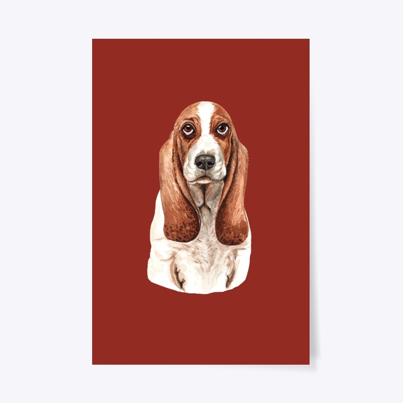 Basset Hound