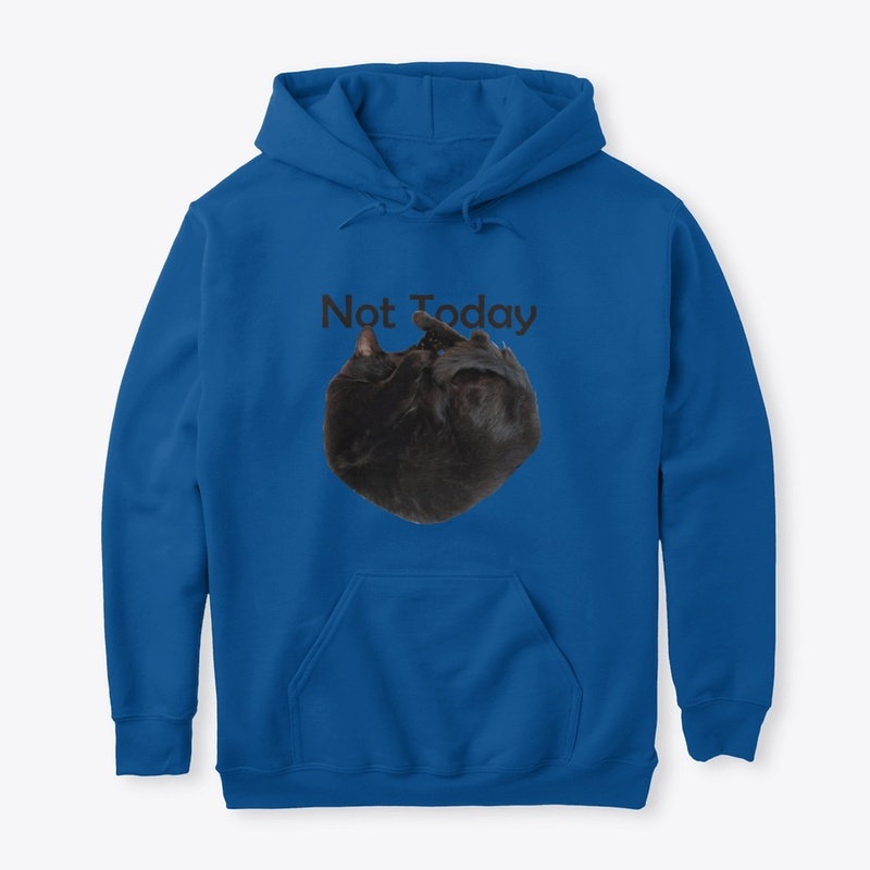 Not Today Sleepy Kitty