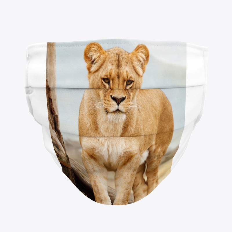 The lioness
