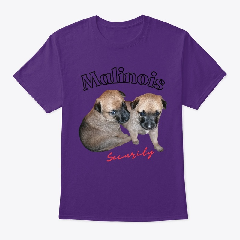 cute Malinois puppies