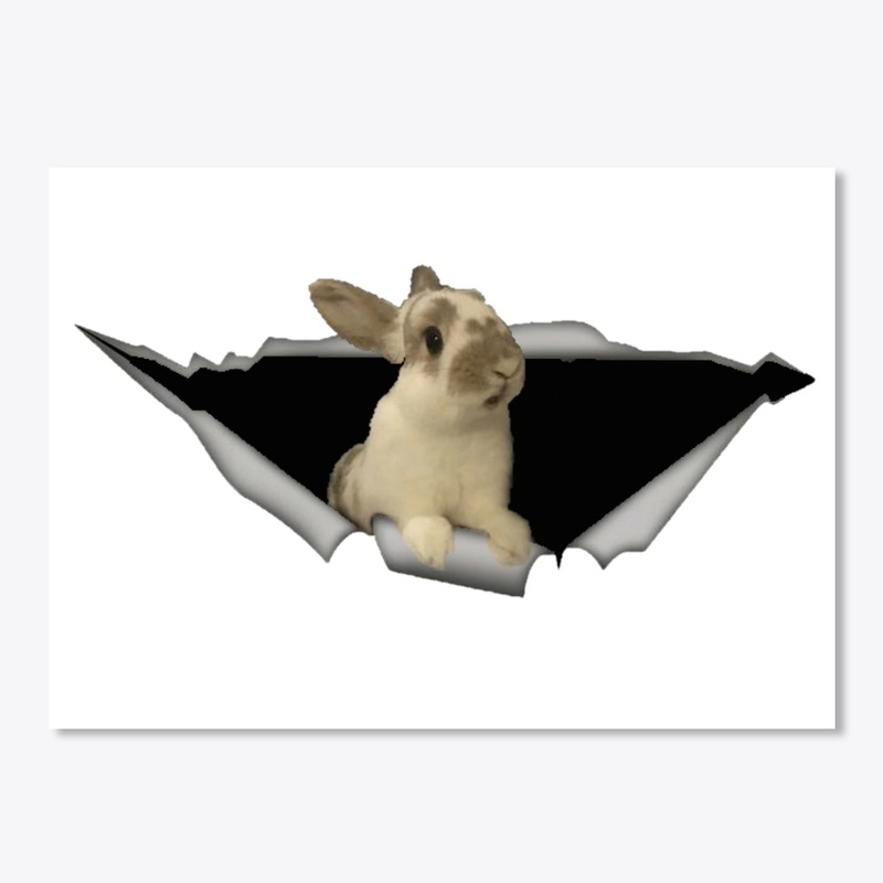 Rabbit car decal 