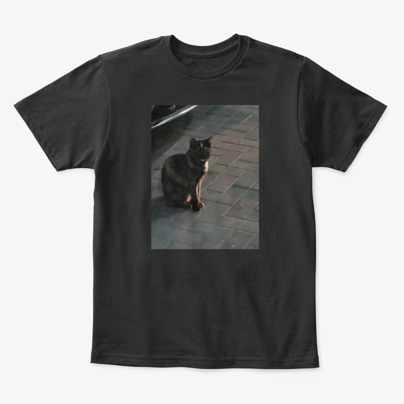 Cats lovers 2020