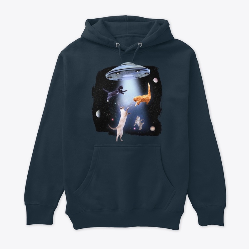 Alien Abduction, Space Cats UFO
