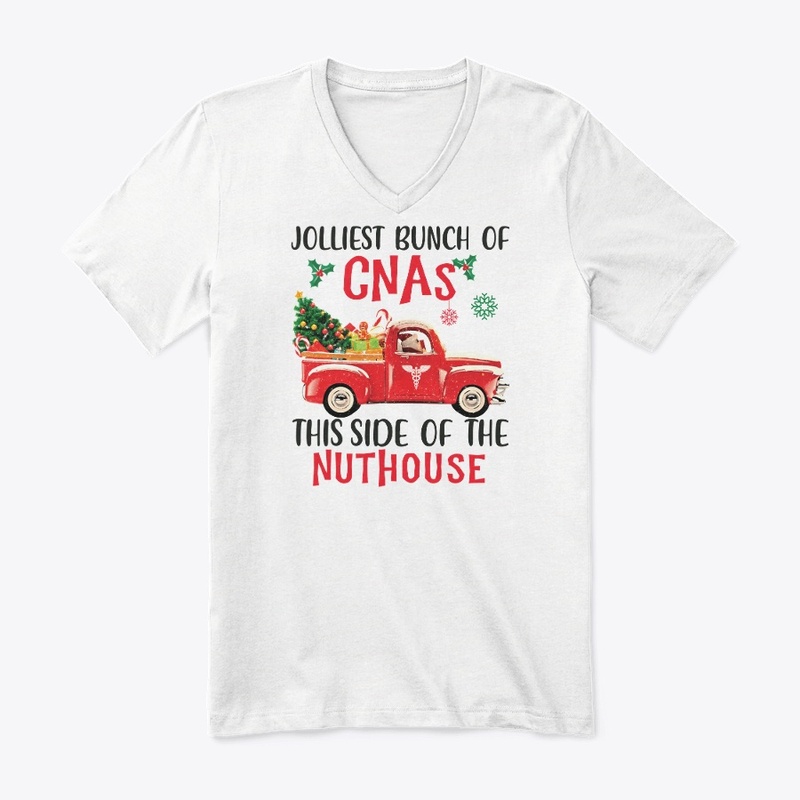 CNA Christmas Hoodie