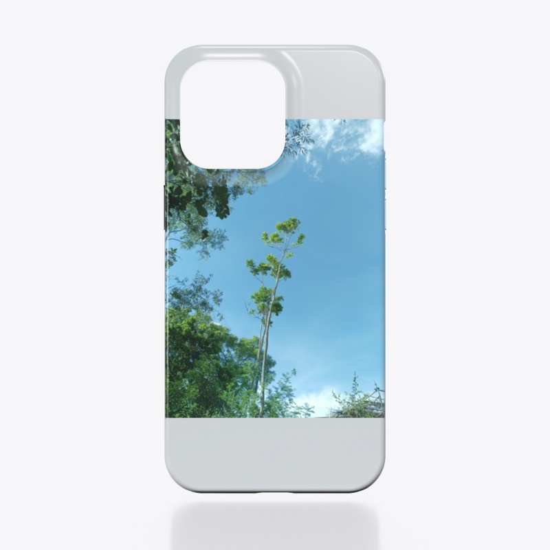 natural scenery