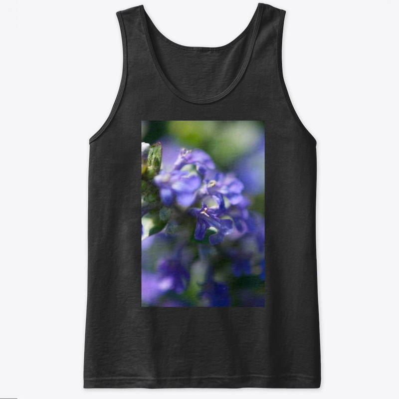 Blue and purple flowers in nature