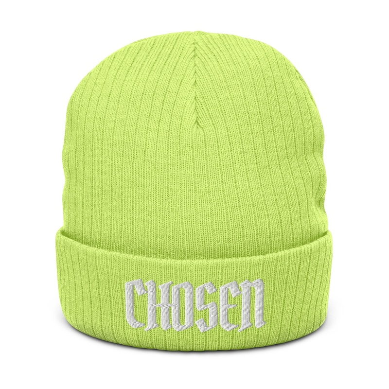 Chosen Ribbed Knit Beanie