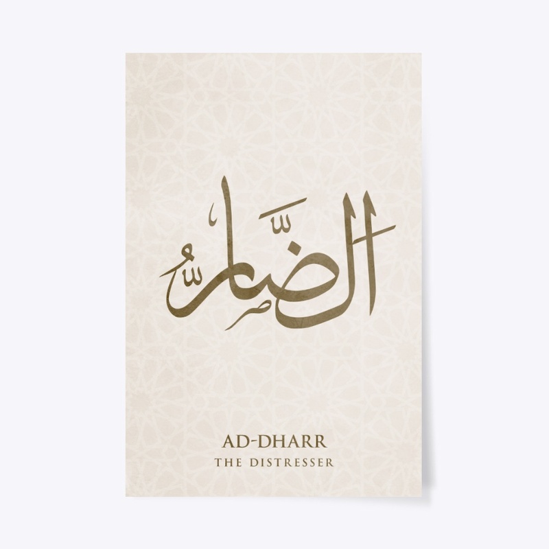 AD-DHAAR :  THE DISTRESSER 