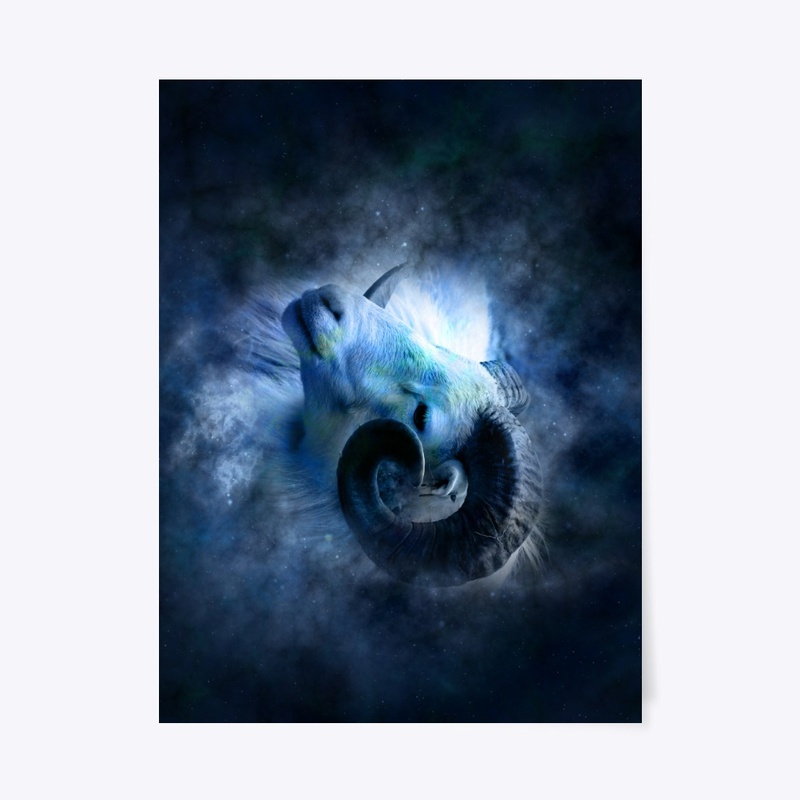 Aries Collection 02