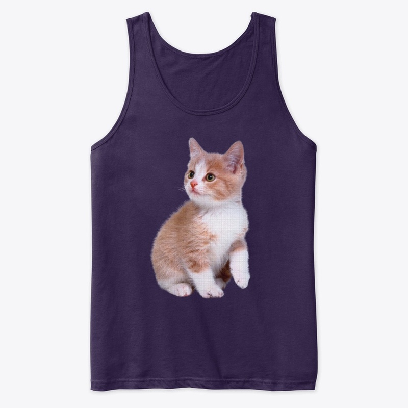 FUNNY SHOCKED CAT