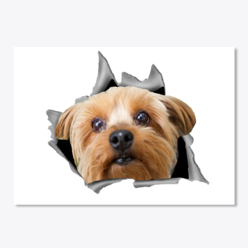 Yorkie nice sticker