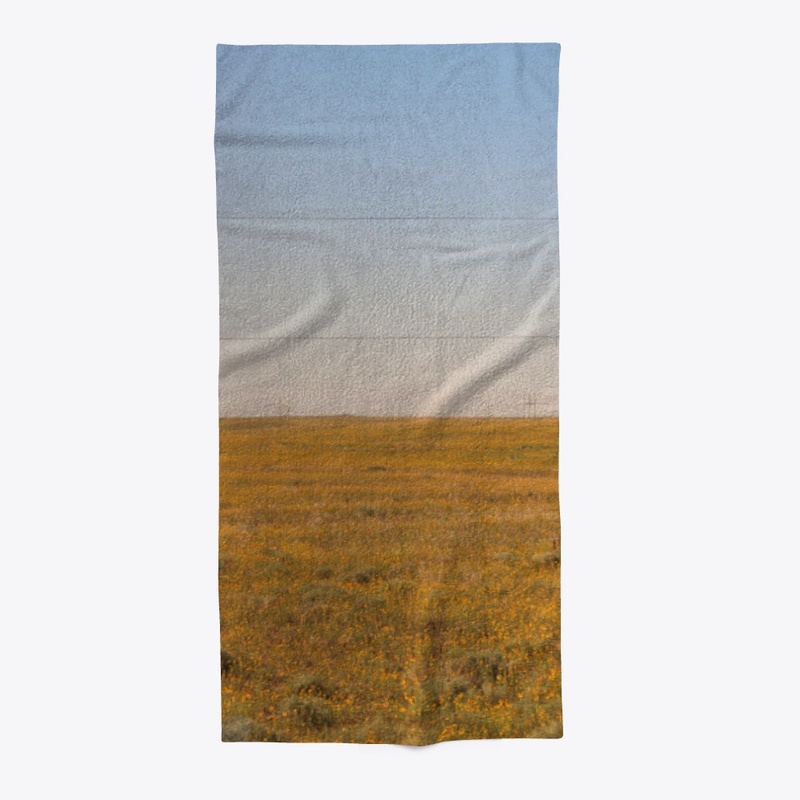 Colorado 13